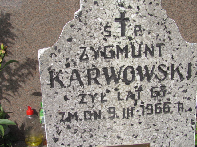 Zygmunt Karwowski 1902 Warszawa Włochy - Grobonet - Wyszukiwarka osób pochowanych