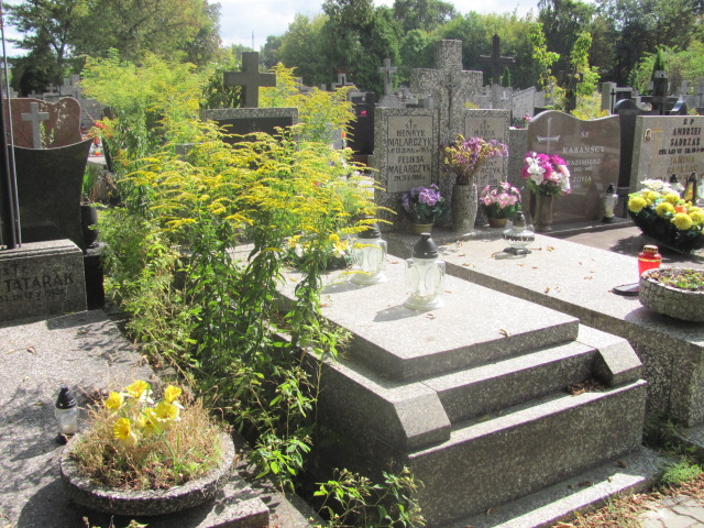 Grób IRENA ZIEMKA